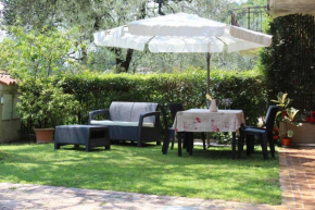 Relax in the Olive Grove Toscolano Maderno
